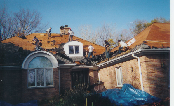 Roof 2.jpg